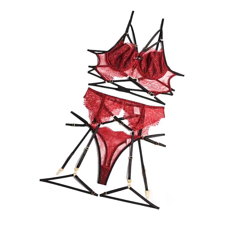 레이스 섹시 란제리 투명 핫 포르노 레이스 에로틱 속옷 - Sheer Bra Lace 리뷰 및 가격